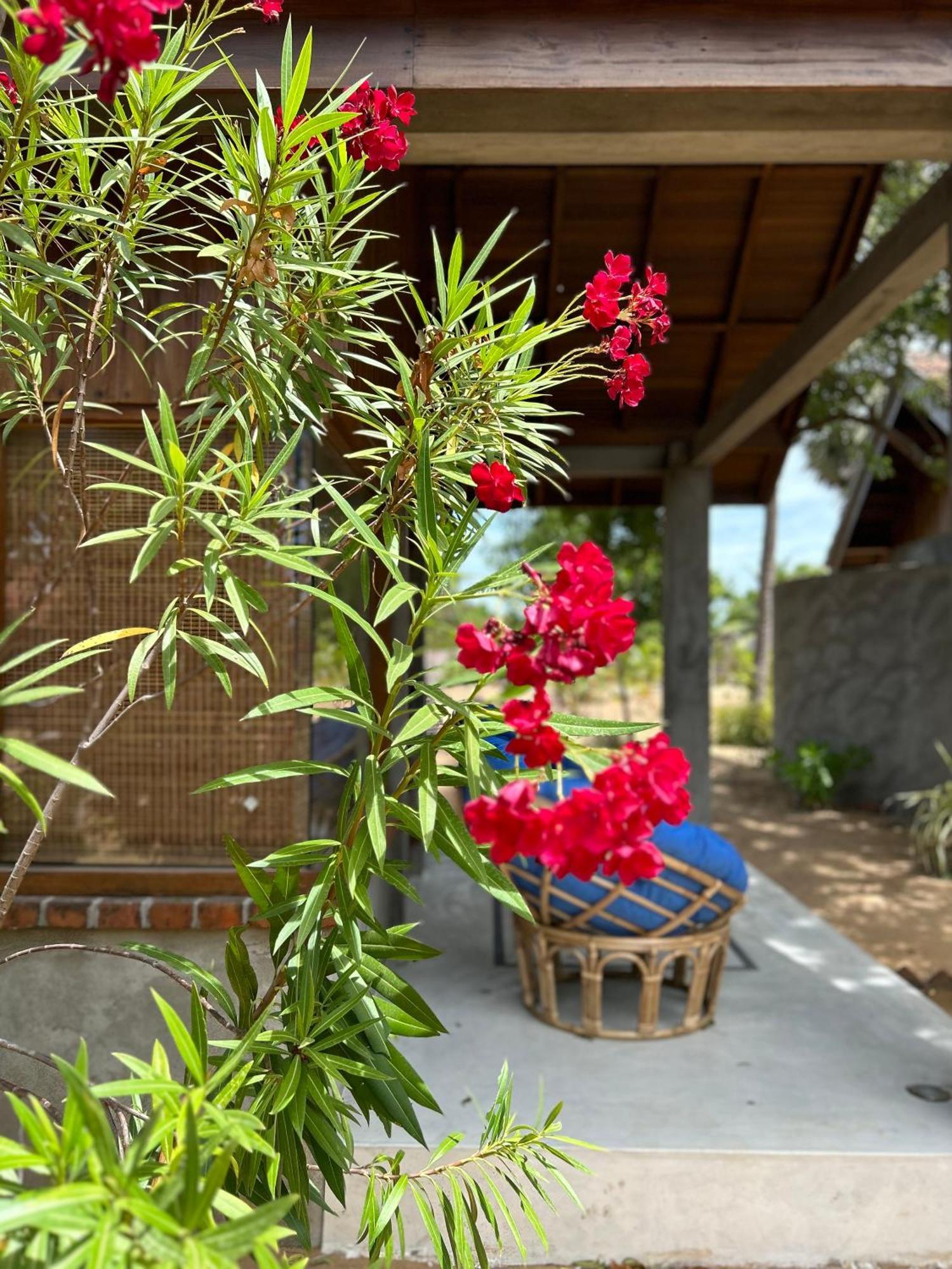 Arasi Resort Kalpitiya Extérieur photo